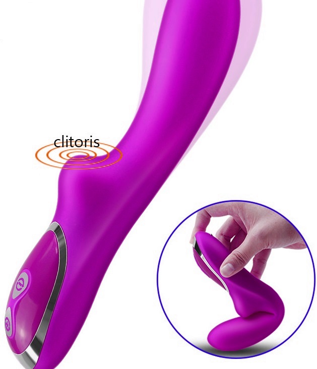 Vibrador G-Spot Recarregavel 10 Speeds Purple RF03199
