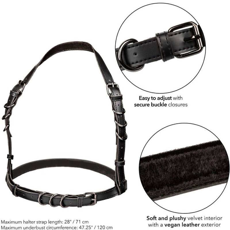 CALEXOTICS - EUPHORIA PLUS SIZE HALTER FIVELA ARNÊS PRETO - Image 5