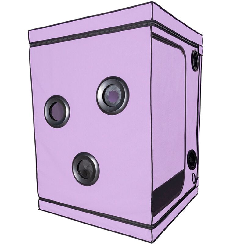 SECRET DOME – ESCÂNDALO ROXO DO CLUBE KINK