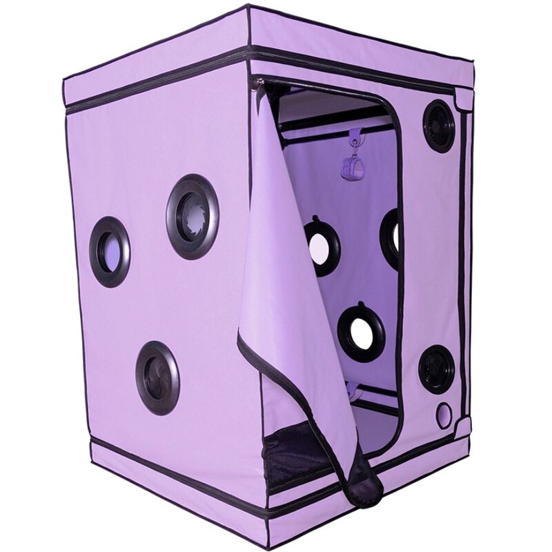 SECRET DOME – ESCÂNDALO ROXO DO CLUBE KINK